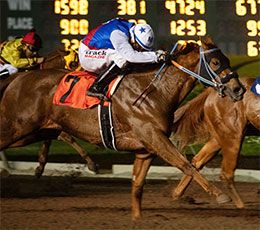Fear N Ohana Spirit defeated Apolitical Chilitas and Apprehensive in trial five.