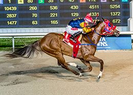 Corona Blue Estrella with Ricardo Hernandez aboard wins the Grade III $50,000 Miss Polly Classic at Delta Downs.