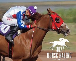 Energy Downs 307 Horse Racing