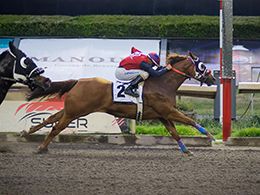 Miguel Angel Espinoza / Hipodromo de Las Américas