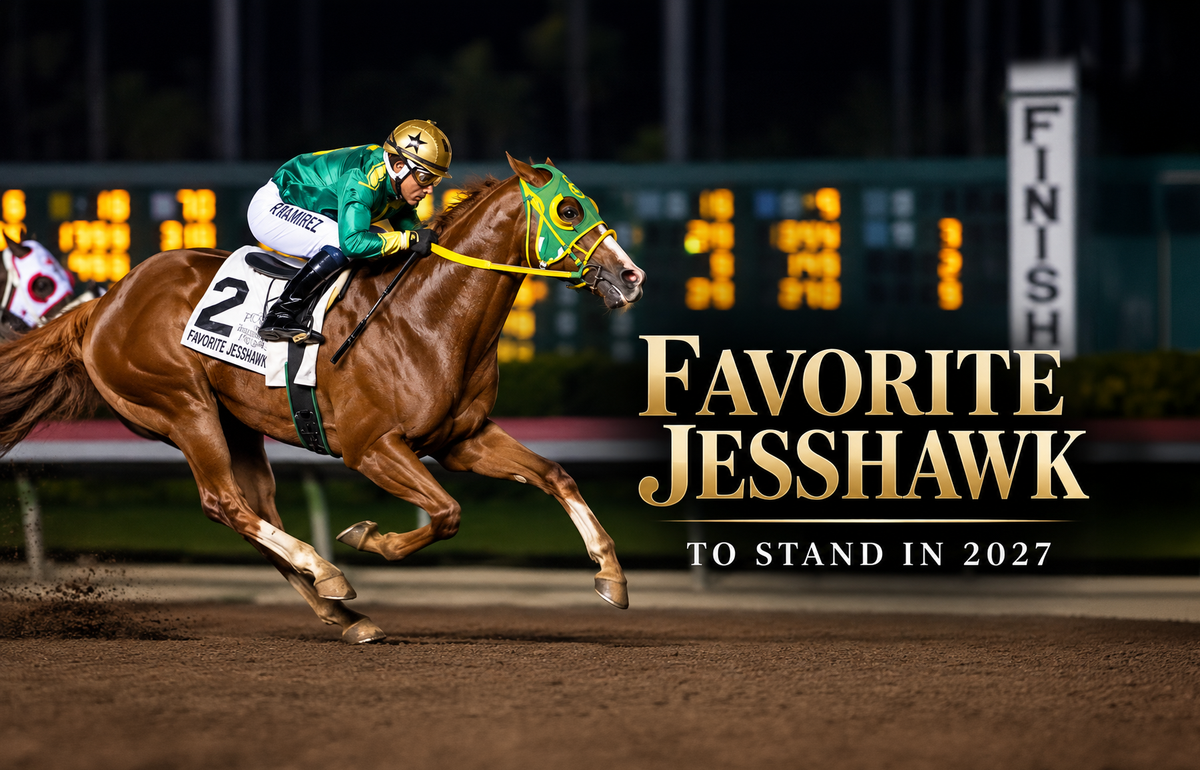Multiple Grade 1 Winner Favorite Jesshawk to Stand at Louisiana Center for Equine Reproduction in 2027