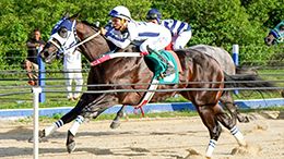 Hilary Reason DRB winning her qualifying trial.