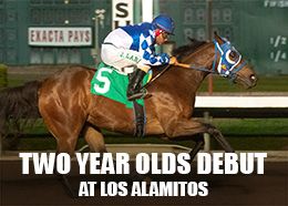 Los Alamitos