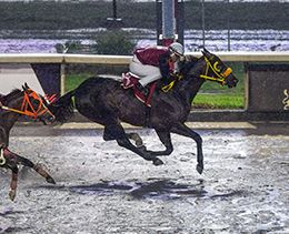 Miguel Angel Espinoza / Hipodromo de Las Américas