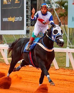 Anjo Dourado HFSJ with jockey Luan Pereira, wearing the silks of owner Haras Pica-Pau Azul — all champions of the statistics in their respective categories..