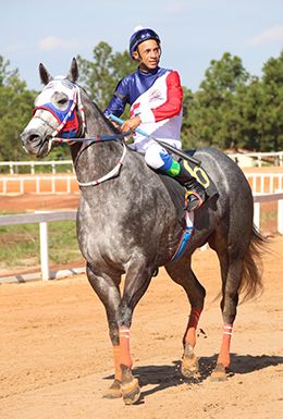 Jockey Ailton Santana returns aboard Liv Senator SAM following another career victory.