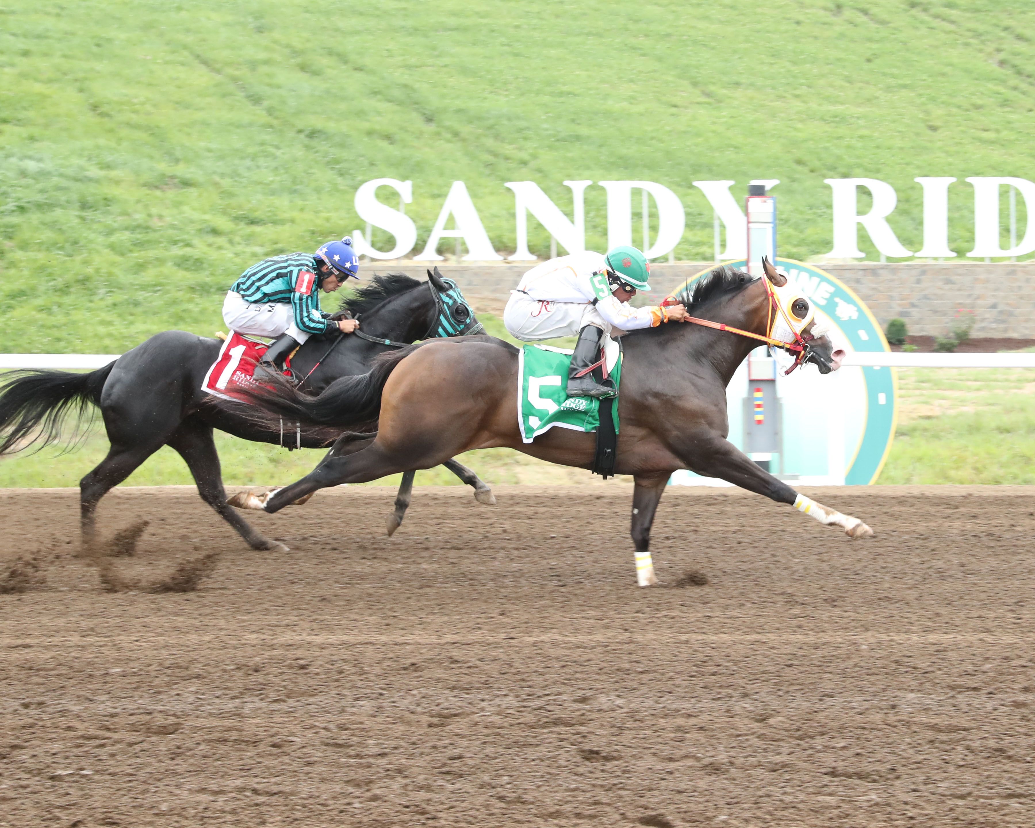 Shesainnocentpiloto Leads BOCO Futurity Qualifiers at Sandy Ridge