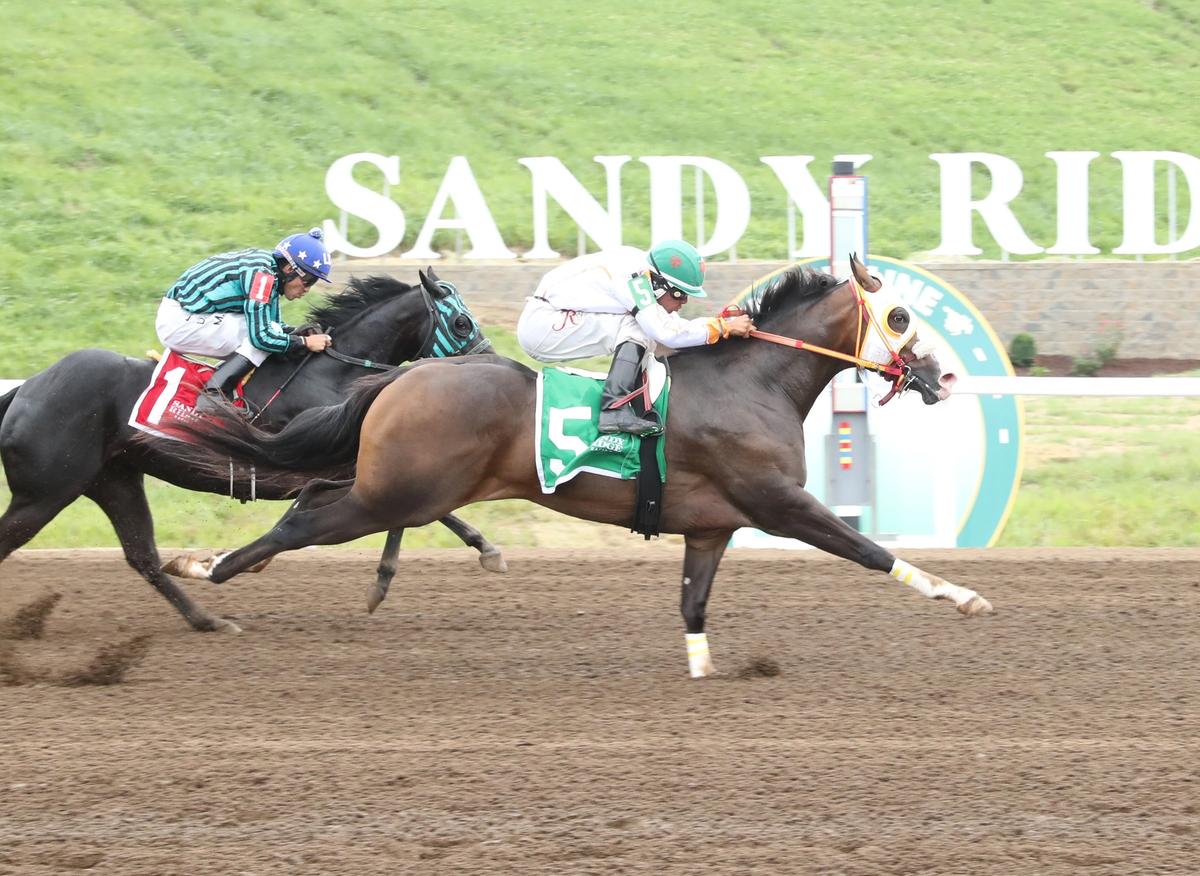 Shesainnocentpiloto Leads BOCO Futurity Qualifiers at Sandy Ridge