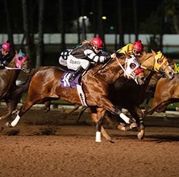 Unrelentless winning the $135,750 Brad McKinzie Los Alamitos Winter Championship (G1).