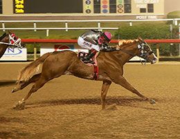 Dollar Bill, under jockey Jorge Garcia, posted the second fastest qualifying time for the Texas Classic Derby on Saturday.