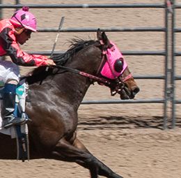 Oneida County Fair