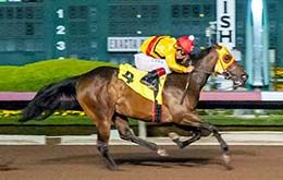 Cheat Sheet posted the fastest time among all the 2-year-olds that raced on Saturday.
