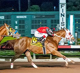 Apollitical Pence, under jockey Armando Cervantes, defeating Flash Bak in the 2021$600,000 Champion of Champions.