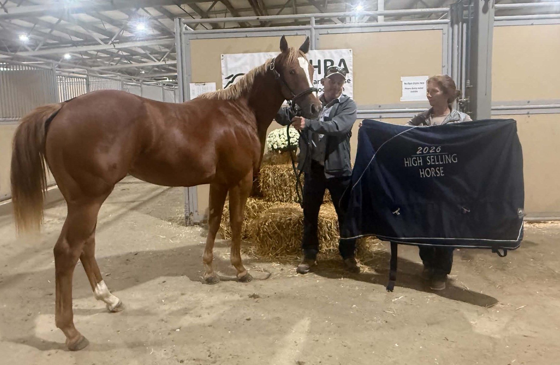 Canada QH Cup Yearling & Mixed Sale