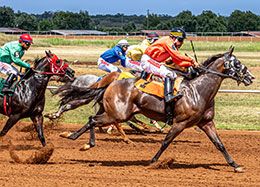 A Quarter Horse race at Gillispie County Fair.