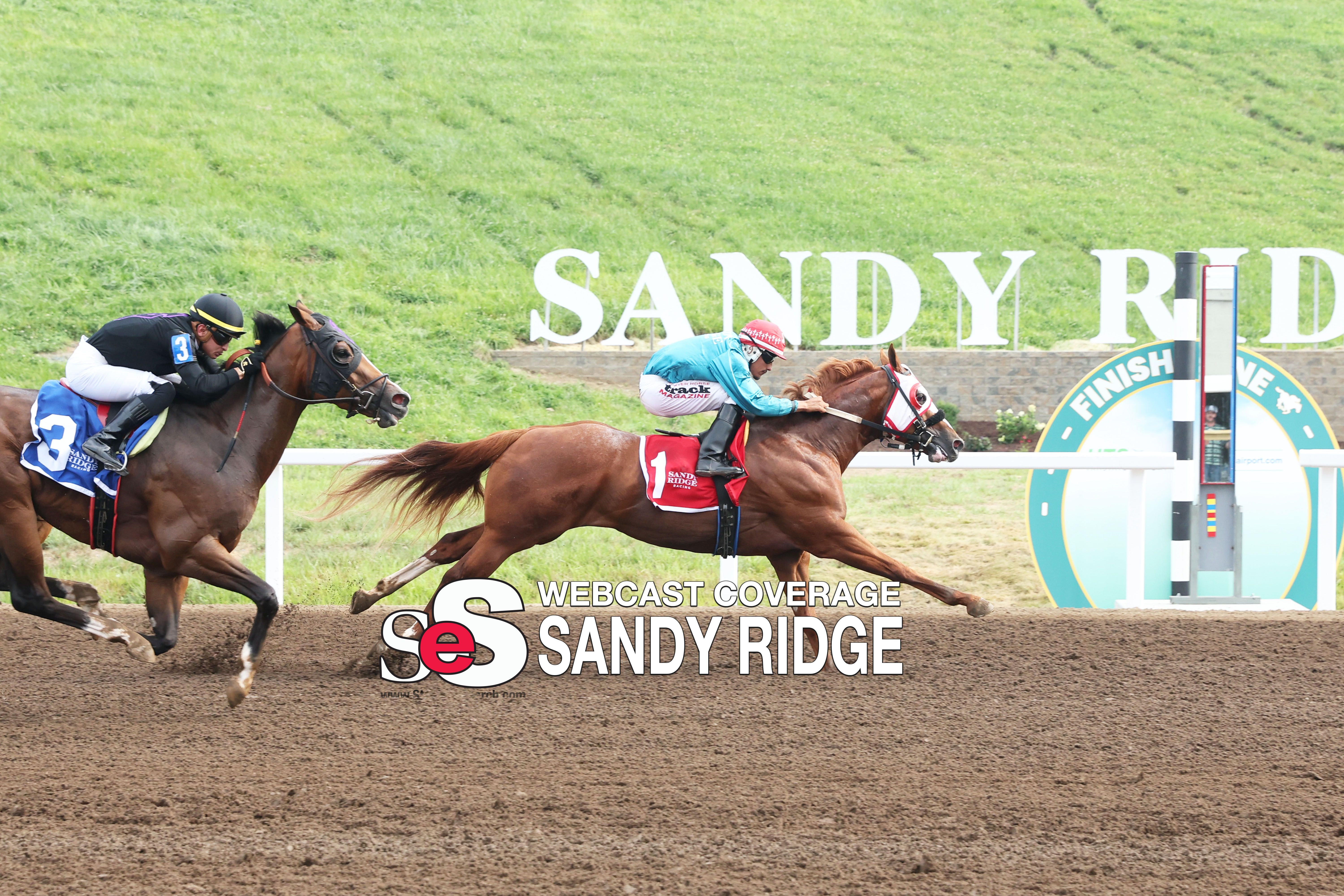 StallioneSearch BOCO Futurity and Bluegrass Derby Trial Recap Coverage (VIDEO)