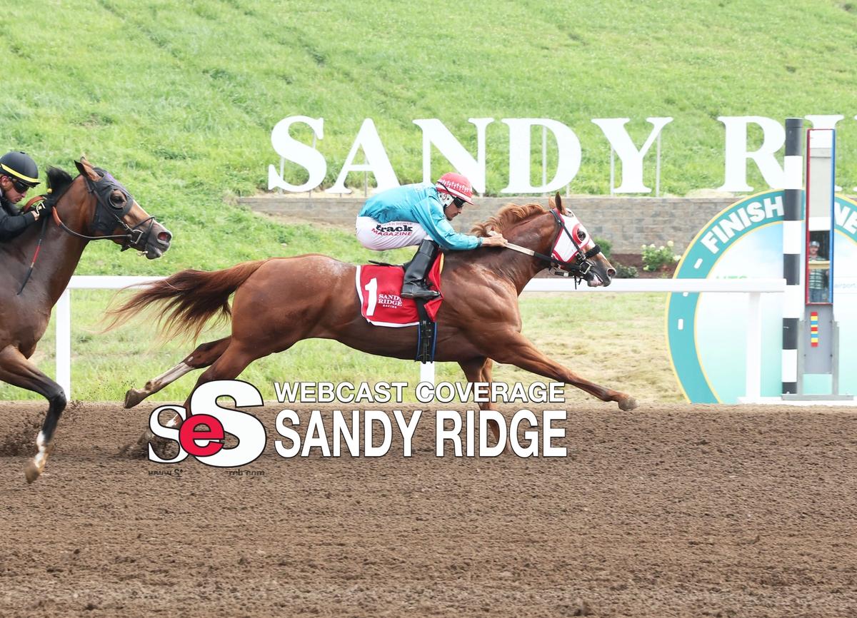 StallioneSearch BOCO Futurity and Bluegrass Derby Trial Recap Coverage (VIDEO)