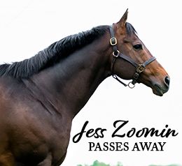 Jess Zoomin, a Grade 1-placed runner and champion sire of more than $5.4 million in earners, passed away earlier this month