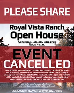 Royal Vista Equine