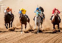 Bucking Horse Sale