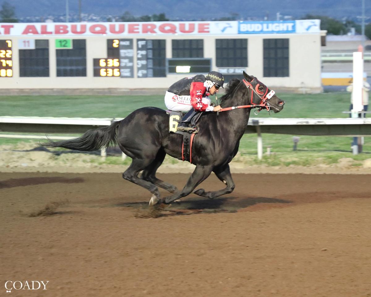 Kid Kawliga Cruises To 1 1/2-Length Victory In $40,000 Albuquerque Juvenile
