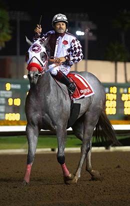 Champion Jockey Rodrigo Vallejo returns Sunday night aboard Kindergarten Futurity winner Beuteeful.