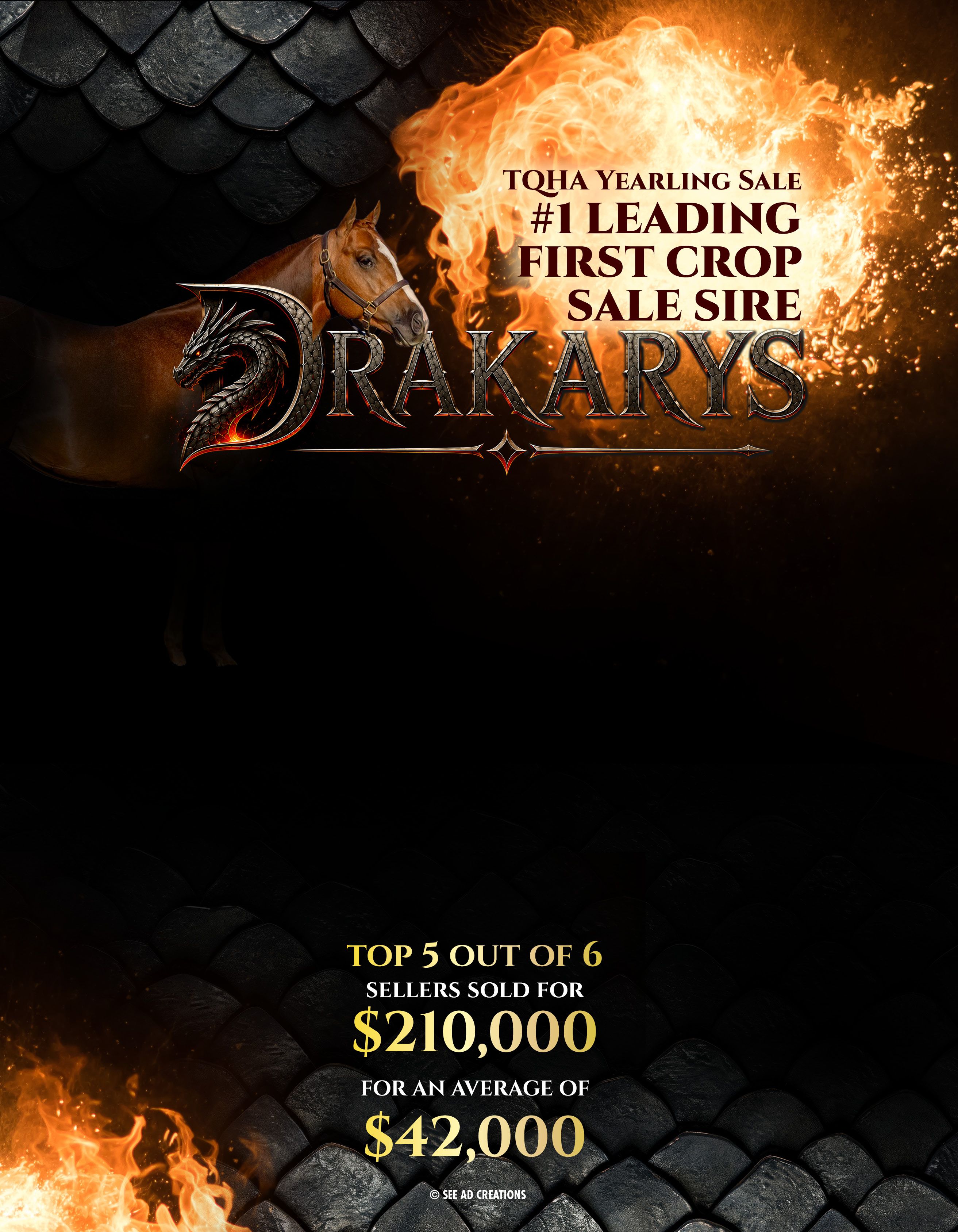 Drakarys Leads First Crop Sale Sires at the 2026 TQHA Yearling Sale