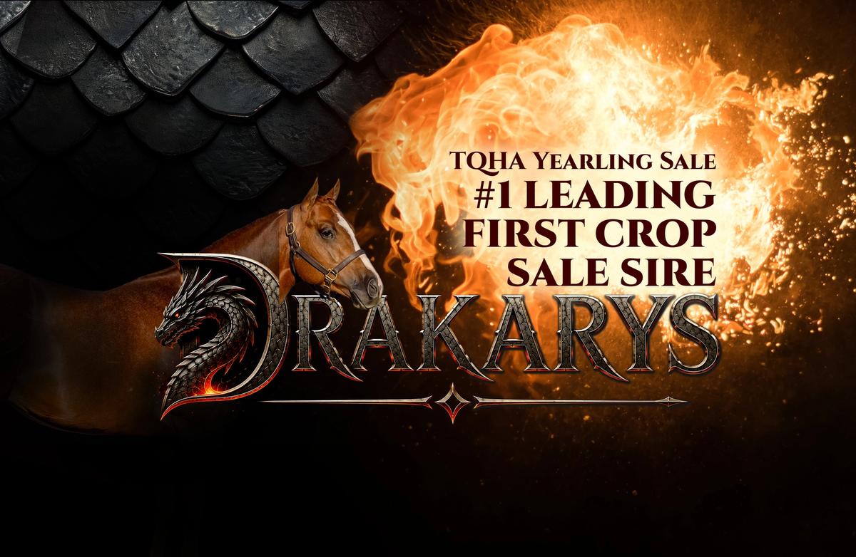 Drakarys Leads First Crop Sale Sires at the 2026 TQHA Yearling Sale