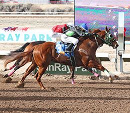 Forest Effort winning the New Mexico Breeders' Stakes at SunRay Park.