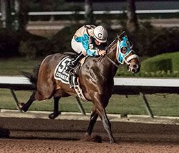 Lotta Blues Man, a full-brother to Social Distance, winning the $1,016,250 Golden State Million Futurity at Los Alamitos Race Course.
