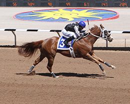 New News winning his West Texas Derby trial at Sunland Park.