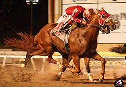 Apollirevenge drives to the wire under jockey Francisco Calderon.