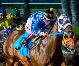 Los Alamitos
