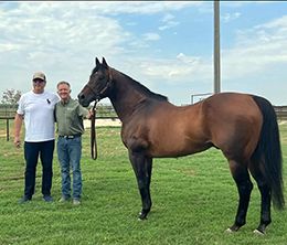 Guy Peixoto, owner of the stallion Tres Seis, plans to eventually breed him to his filly Miss Apolitical Jess.