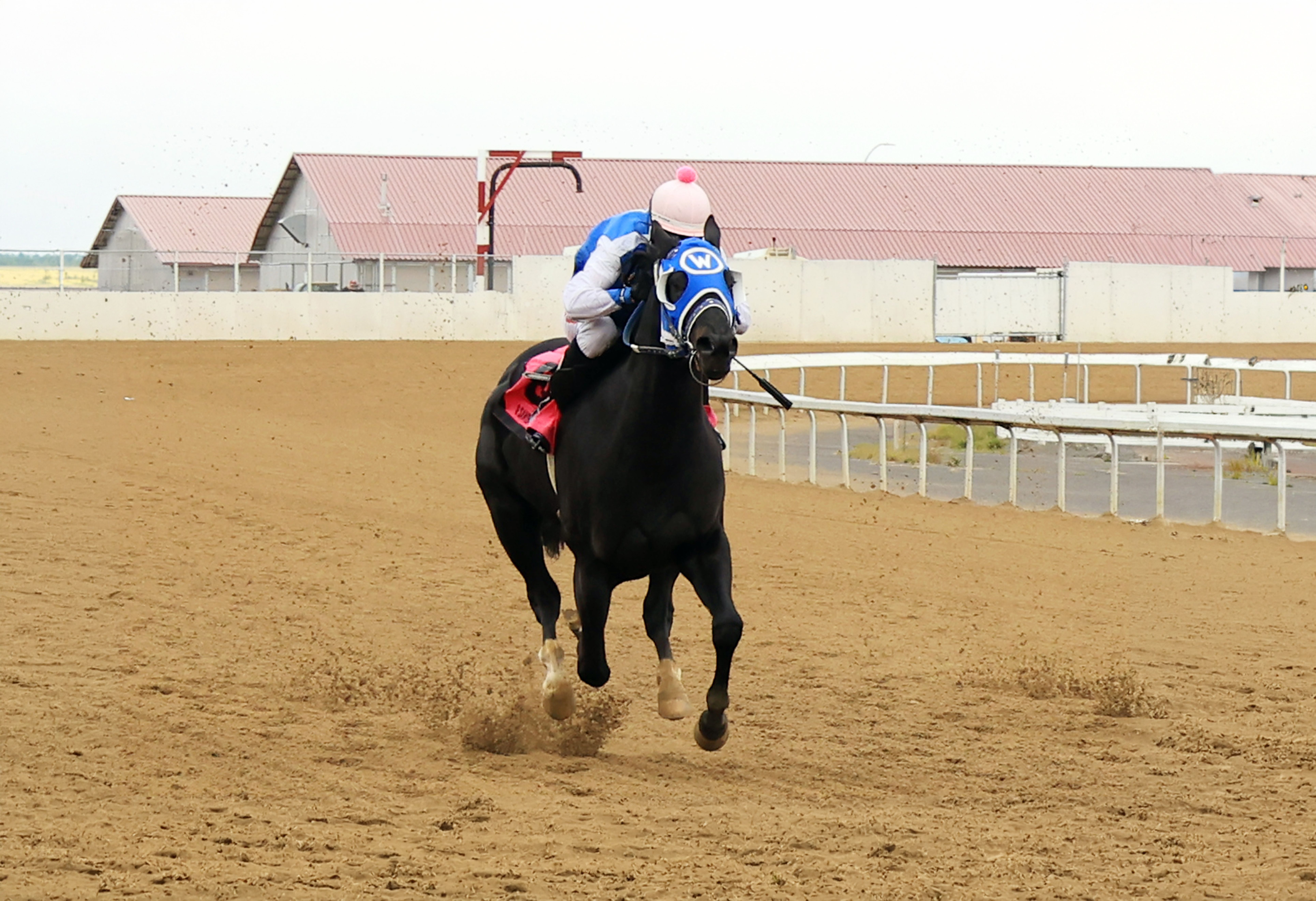 O Sawyer Sets Track Record in $36,696 Alberta Bred Derby at Century Downs