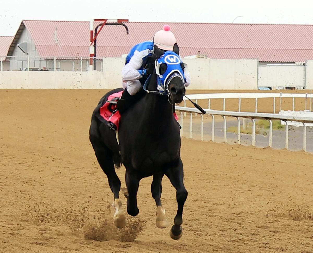 O Sawyer Sets Track Record in $36,696 Alberta Bred Derby at Century Downs