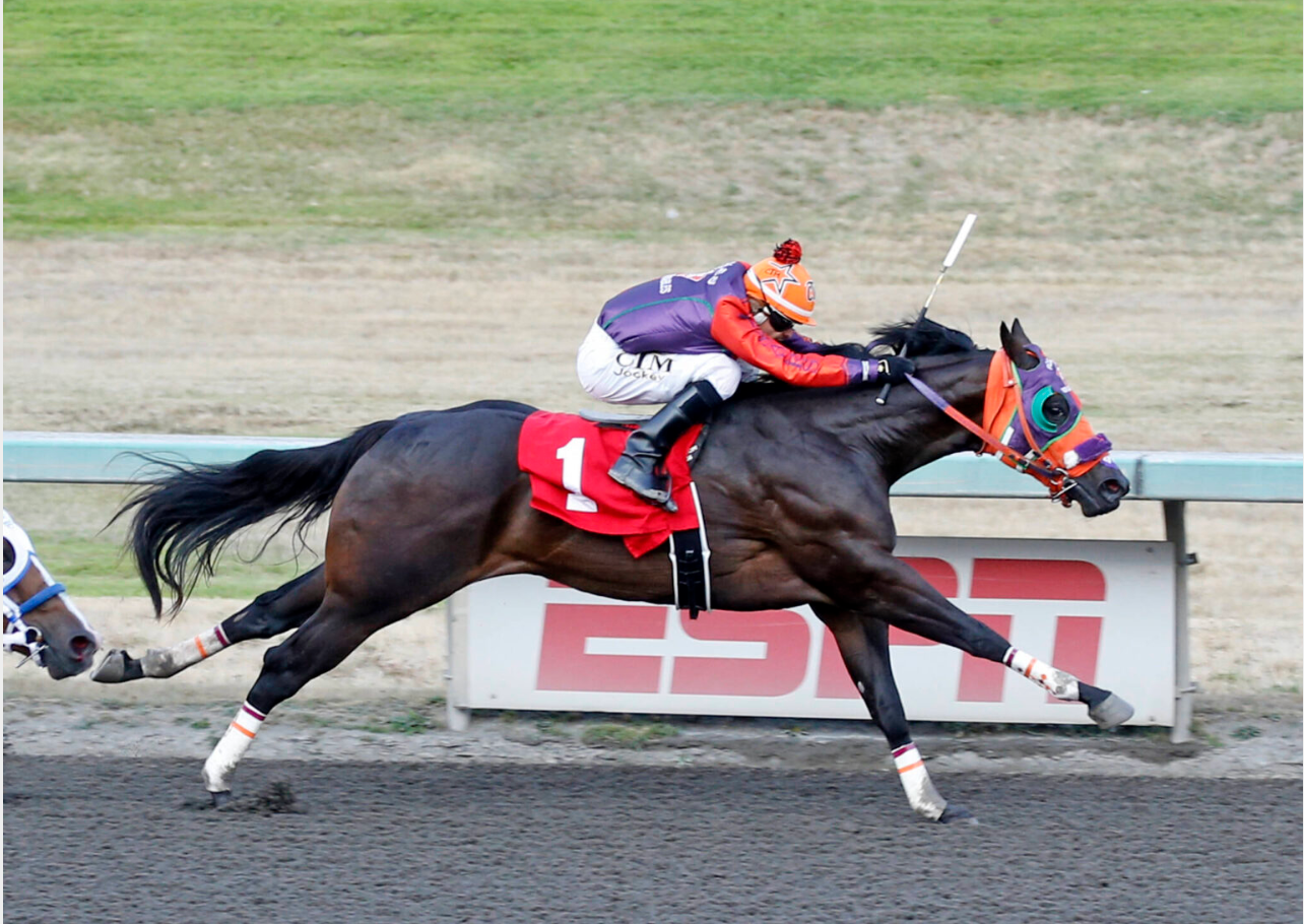 Mysterious Hero and jockey Cesar Moreno prevail in the $70,307 John Deere Emerald Downs Juvenile Challenge at Emerald Downs on August 15.

