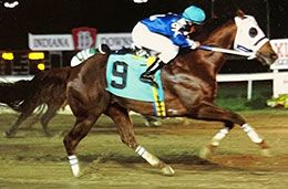Escondido Beach, trained by Sheri Miller, winning at Indiana Downs May 2, 2009.