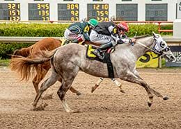 Toxic Dynasty, under jockey Gilberto Linares, winning the trial 3 on day Mf Tha Second Coming and jockey Juan Garcia, Jr., get the final qualifying spot in the closing trial Friday.