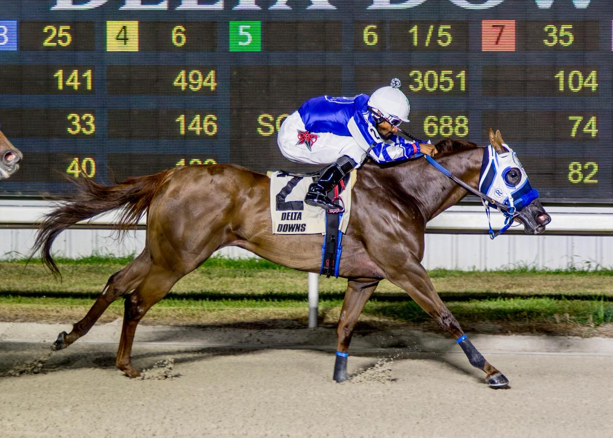 Cosino Rogue Scores Upset Victory In Faubourg St John Stakes