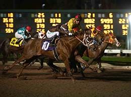 Show N Tell Cartel (#10), under jockey Cesar Franco, drives to victory in the El Primero Del Ano Derby.
