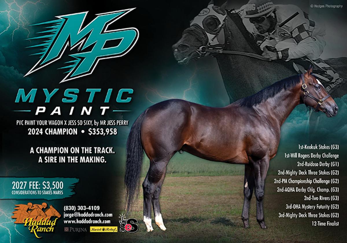 AQHA Racing Champion Mystic Paint to Launch Stallion Career at Haddad Ranch