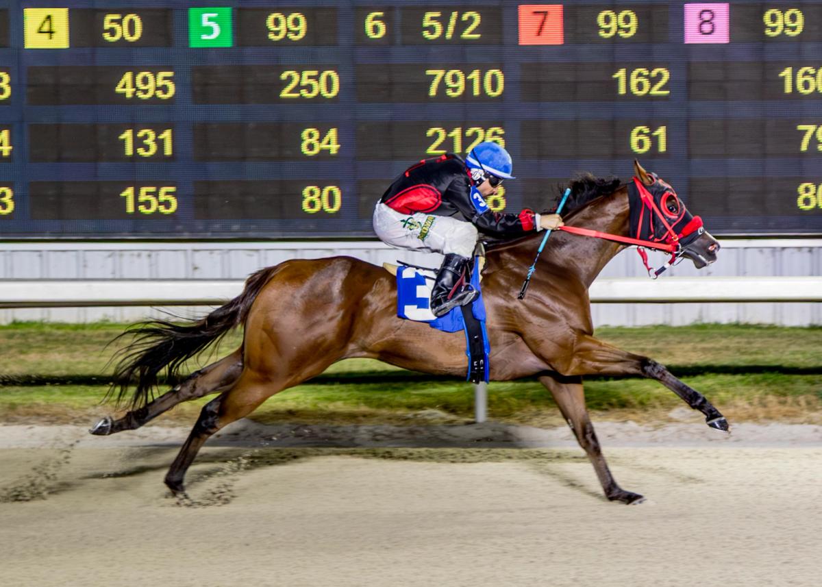 JP Fast Dash Installed as Morning-Line Favorite for $159,740 Big Easy Futurity Tonight at Delta Downs