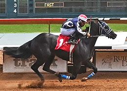 Jockey Luis Martinez rode Little Vaquero to a 1-1/4 length victory in the trial 6 at Ruidoso Downs Friday.