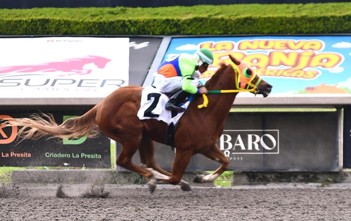 Dk Kiss My Danny Sets Pace in Desafío Crianza Mexicana Trials