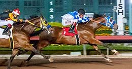 Fireworks Over Paris qualified in the sixth trial under jockey Cruz Mendez.