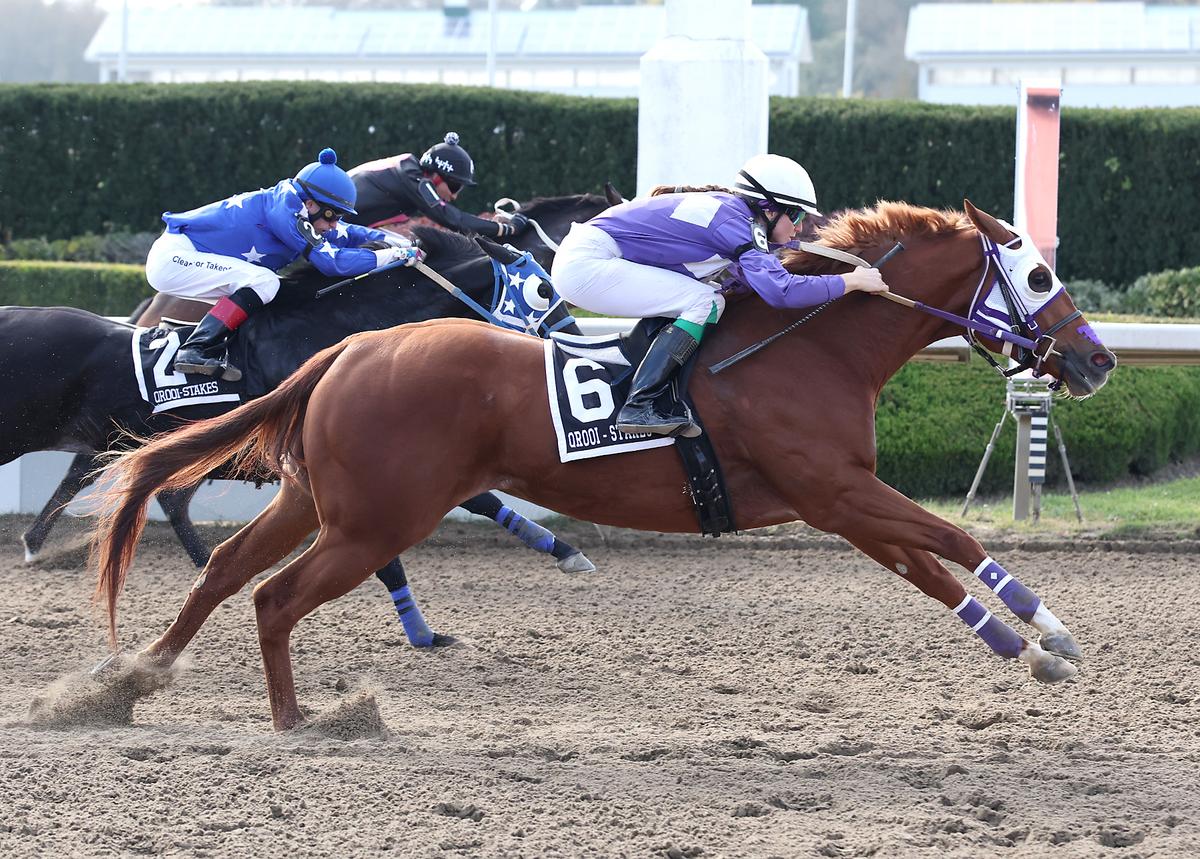 Chillin With Peeps Scores Back-To-Back Stakes Victories With Ontario Sires Stakes Derby Win