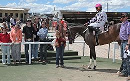 The winning connections of Trickey Ways accept the 307HR Open Juvenile stakes trophy at Wyoming Downs on Sunday.