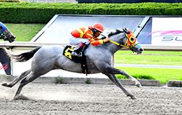 Payasa De Manny clocked the fastest time of day two in the Garanones Futurity trials.