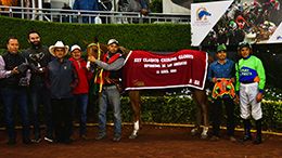 The winning connections of DK Crystal Favorite accept the $19,382 Chirina Glorys Classic at Hipódromo de las Américas on Sunday.